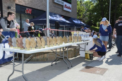 Galéria víťazov MSR 2017