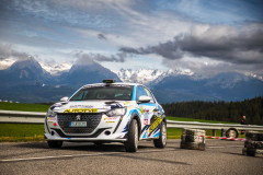 Shakedown - Šuňava